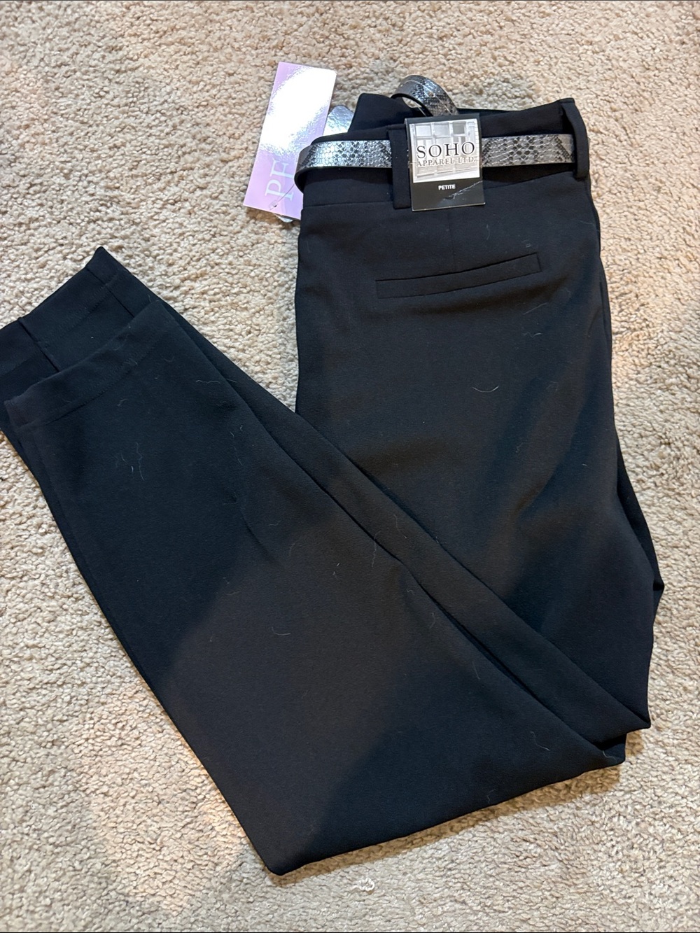 Soho Black Petite Ponte Pants with Metallic Snake-Print Belt